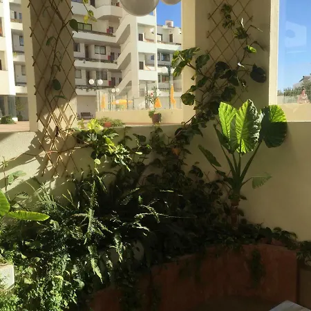 Charmosous Flat Apartment Albufeira